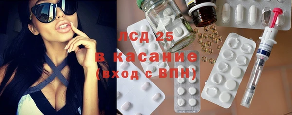 шишки Белоозёрский