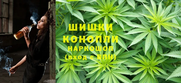 шишки Белоозёрский