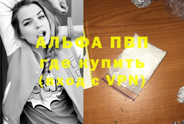 шишки Белоозёрский
