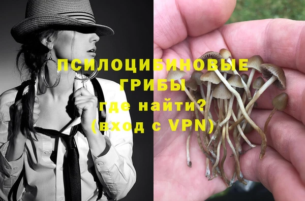 соль ск Белокуриха