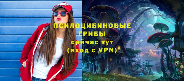 гидра Беломорск