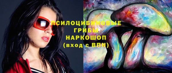 шишки Белоозёрский