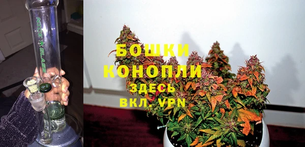 шишки Белоозёрский