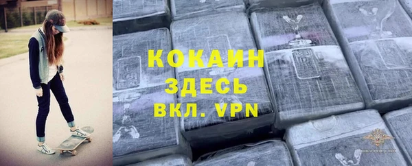 соль ск Белокуриха