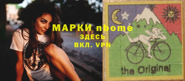 шишки Белоозёрский