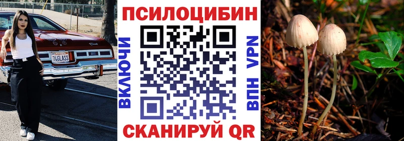 Галлюциногенные грибы Psilocybine cubensis  Волоколамск 