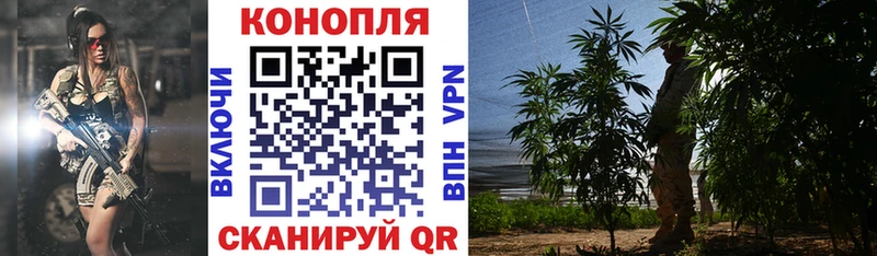 Каннабис планчик  blacksprut рабочий сайт  Волоколамск 